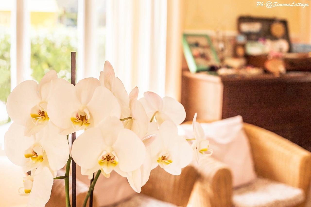 Hotel Ninfea Cervia Bagian luar foto